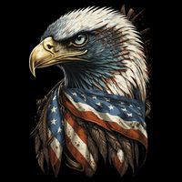 Patriotic Bald Eagle 4th Of July USA American Flag Flatbill Hat