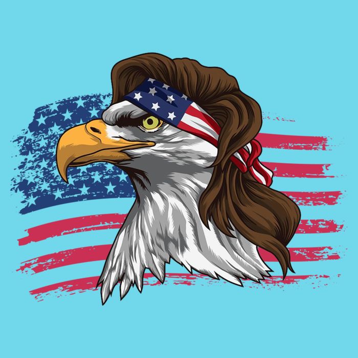 Patriotic Bald Eagle Mullet Usa American Flag 4th Of July Great Gift Premium T-Shirt
