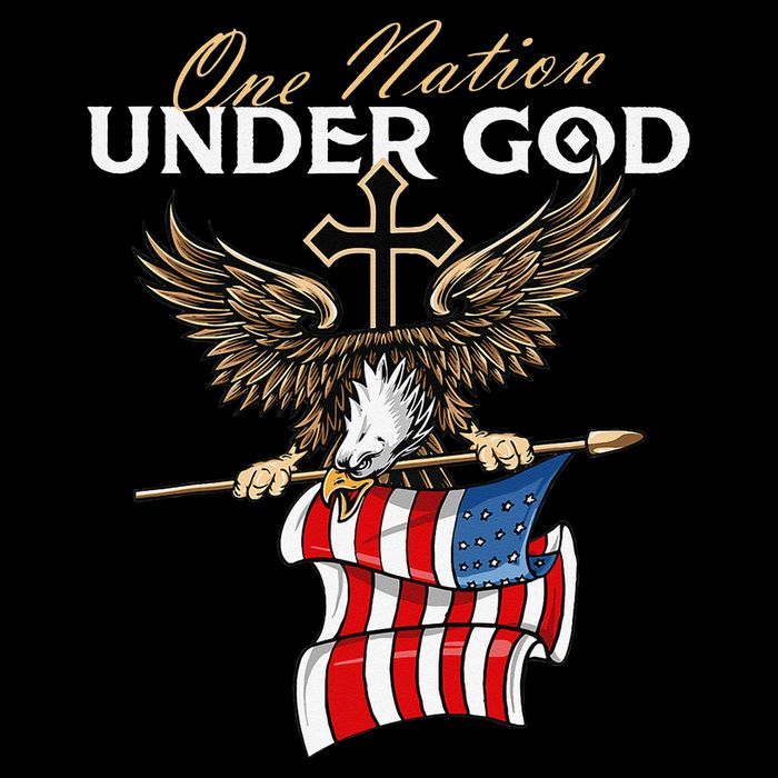 Patriotic Bald Eagle USA American Flag 4th of July Fourth Women's Crop Top Tee