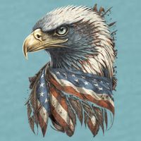 Patriotic Bald Eagle 4th Of July Usa American Flag Sueded Cloud Jersey T-Shirt