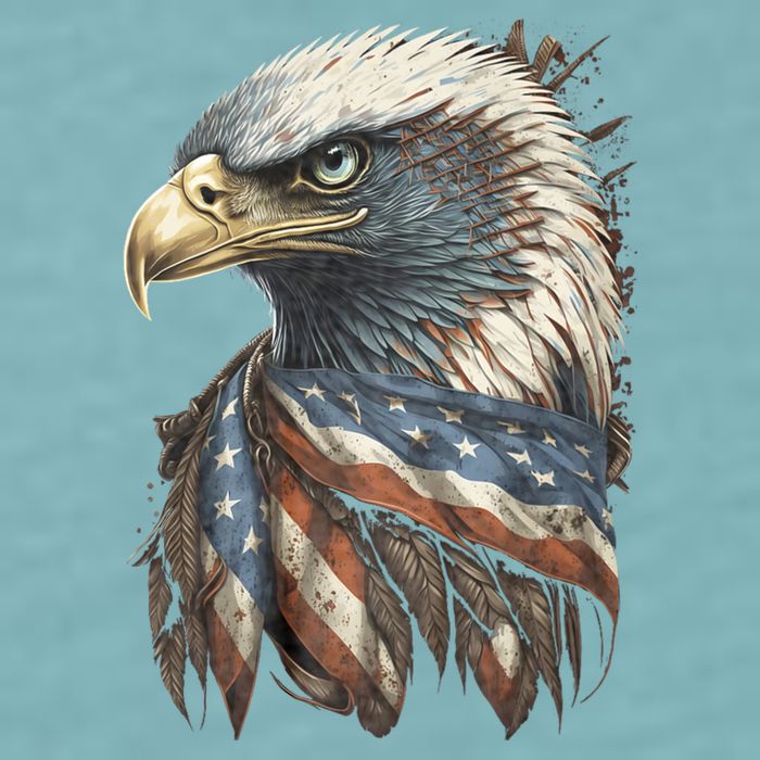 Patriotic Bald Eagle 4th Of July Usa American Flag Sueded Cloud Jersey T-Shirt