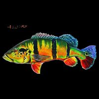 Peacock Bass Fishing Fish & Hoodies By Black Fly Cooling Performance Crew T-Shirt