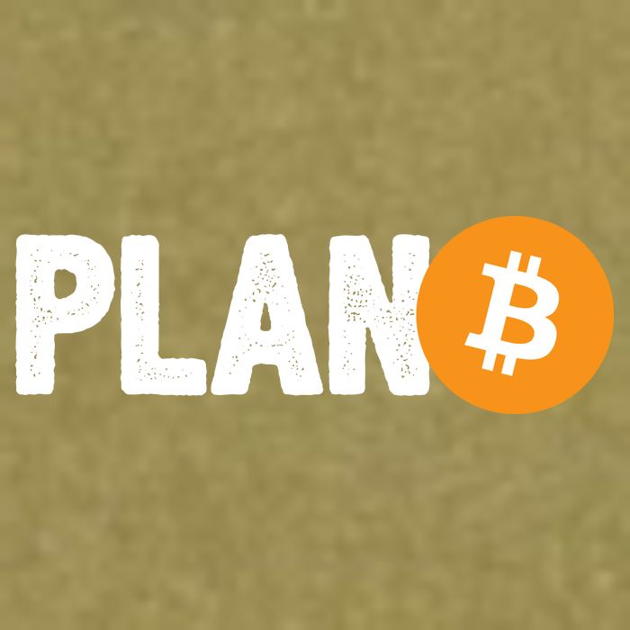 Plan B Funny Bitcoin Garment-Dyed Women's Muscle Tee