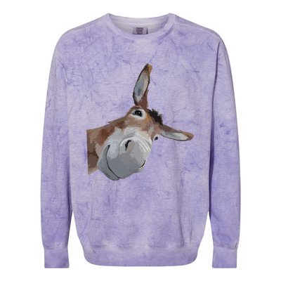 Peach Bruh Funny Donkey Art Donkey Head Smile Eagerlys Colorblast Crewneck Sweatshirt