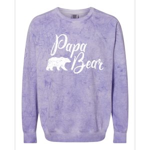 Papa Bear Fathers Day Cute Gift Colorblast Crewneck Sweatshirt