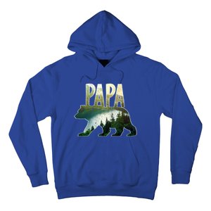 Papa Bear Forest Lake Mountain Scene Outdoors FatherS Day Gift Hoodie