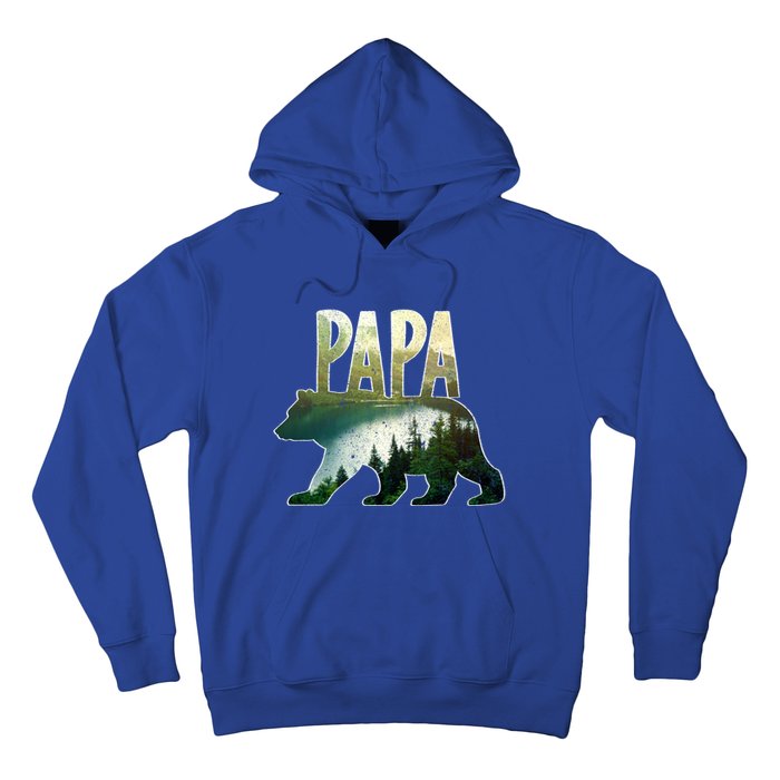 Papa Bear Forest Lake Mountain Scene Outdoors FatherS Day Gift Hoodie