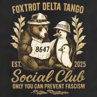 Penguin Bear Foxtrots Delta Tangos Activism Against Tariffs Premium Pullover Hoodie
