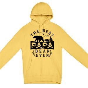 Papa Bear Funny Gift With Cub Dad Christmas Birthday Gift Premium Pullover Hoodie