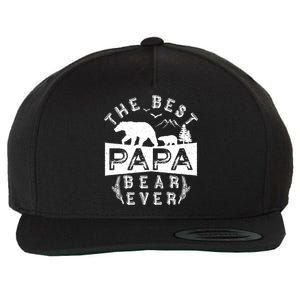 Papa Bear Funny Gift With Cub Dad Christmas Birthday Gift Wool Snapback Cap