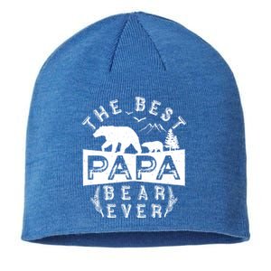 Papa Bear Funny Gift With Cub Dad Christmas Birthday Gift Sustainable Beanie