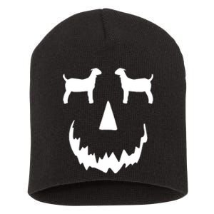 Pumpkin Boer Goat Show Halloween Short Acrylic Beanie