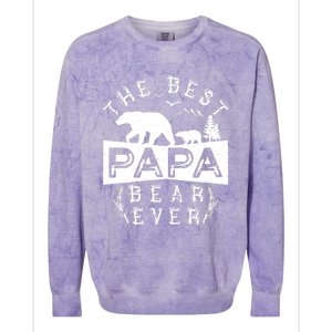 Papa Bear Gift With Cub Dad Christmas Birthday Gift Colorblast Crewneck Sweatshirt