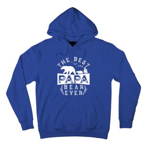 Papa Bear Gift With Cub Dad Christmas Birthday Gift Hoodie