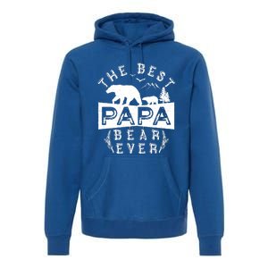 Papa Bear Gift With Cub Dad Christmas Birthday Gift Premium Hoodie