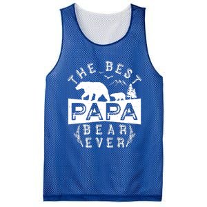 Papa Bear Gift With Cub Dad Christmas Birthday Gift Mesh Reversible Basketball Jersey Tank