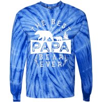 Papa Bear Gift With Cub Dad Christmas Birthday Gift Tie-Dye Long Sleeve Shirt