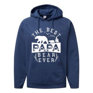 Papa Bear Gift With Cub Dad Christmas Birthday Gift Performance Fleece Hoodie