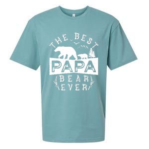 Papa Bear Gift With Cub Dad Christmas Birthday Gift Sueded Cloud Jersey T-Shirt