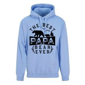 Papa Bear Gift With Cub Dad Christmas Birthday Gift Unisex Surf Hoodie