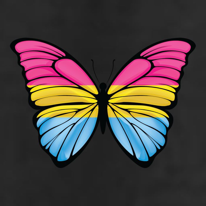 Pansexual Butterfly Hypolimnas Pan Pride Flag Pansexuality 7 Panel Mesh Trucker Snapback Hat