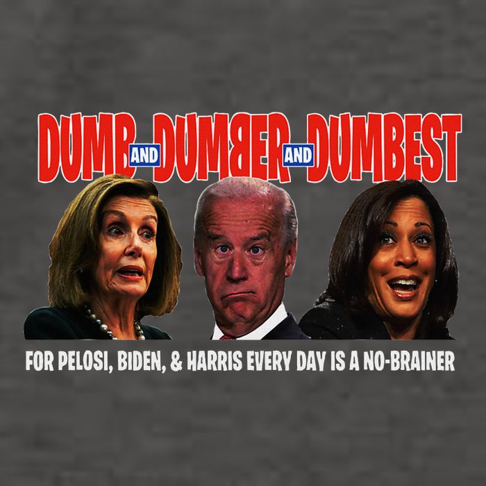 Pelosi Biden Harris Are Dumb & Dumber & Dumbest Funny Vector Backpack