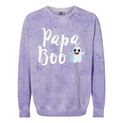 Papa Boo Halloween Family Matching Ghost Dad Colorblast Crewneck Sweatshirt