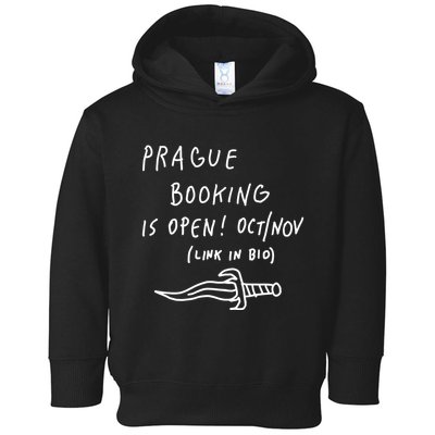 Prague Booking Is Open Oct Nov Link In Bio Toddler Hoodie