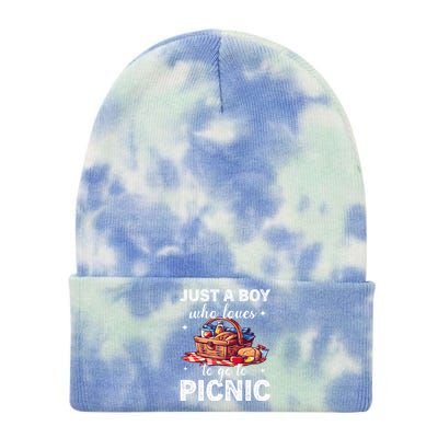 Picnic Basket Just A Who Loves Picnic Family Picnic Fun Gift Tie Dye 12in Knit Beanie