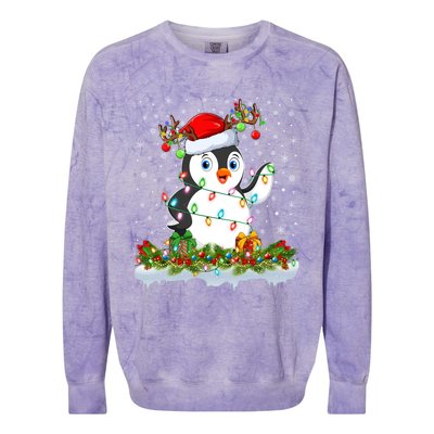 Penguin Bird Lover Xmas Lighting Santa Penguin Christmas Gift Colorblast Crewneck Sweatshirt