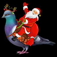 Pigeon Bird Lover Xmas Santa Riding Pigeon Christmas Long Sleeve Wool Snapback Cap