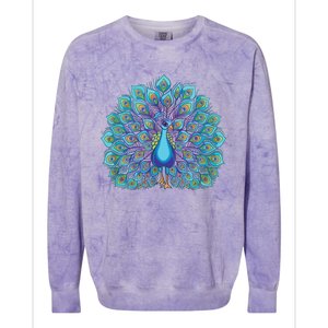 Peacock Bird Lover Illustration Colorblast Crewneck Sweatshirt