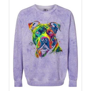 Pit Bull Mom Dog Lover Colorful Artistic Pitbull Owner Women Colorblast Crewneck Sweatshirt