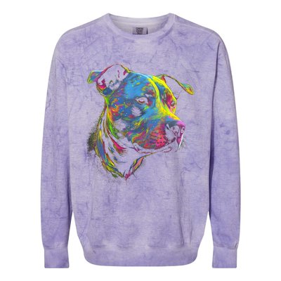 Pit Bull Mom Dog Lover Colorful Artistic Pitbull Owner Women Colorblast Crewneck Sweatshirt