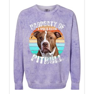 Pit Bull Owner Lover Retro Pitbull Colorblast Crewneck Sweatshirt