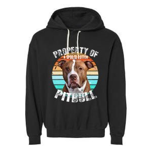 Pit Bull Owner Lover Retro Pitbull Garment-Dyed Fleece Hoodie