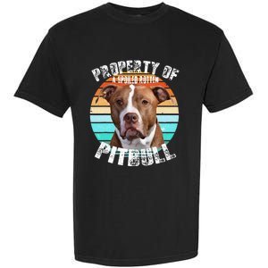 Pit Bull Owner Lover Retro Pitbull Garment-Dyed Heavyweight T-Shirt