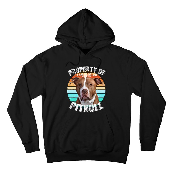 Pit Bull Owner Lover Retro Pitbull Hoodie