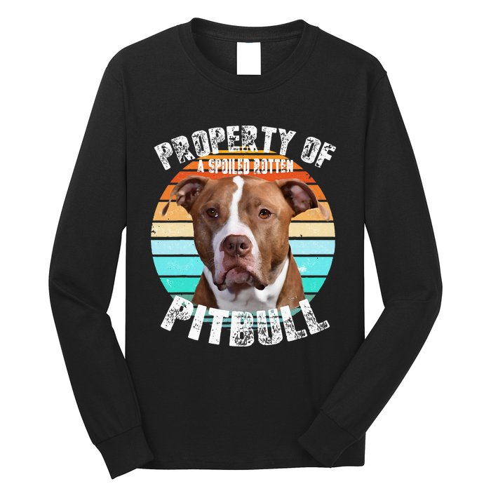 Pit Bull Owner Lover Retro Pitbull Long Sleeve Shirt