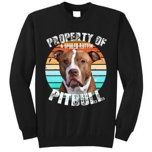 Pit Bull Owner Lover Retro Pitbull Sweatshirt