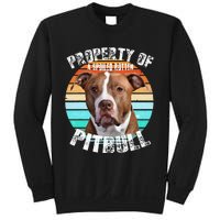 Pit Bull Owner Lover Retro Pitbull Sweatshirt