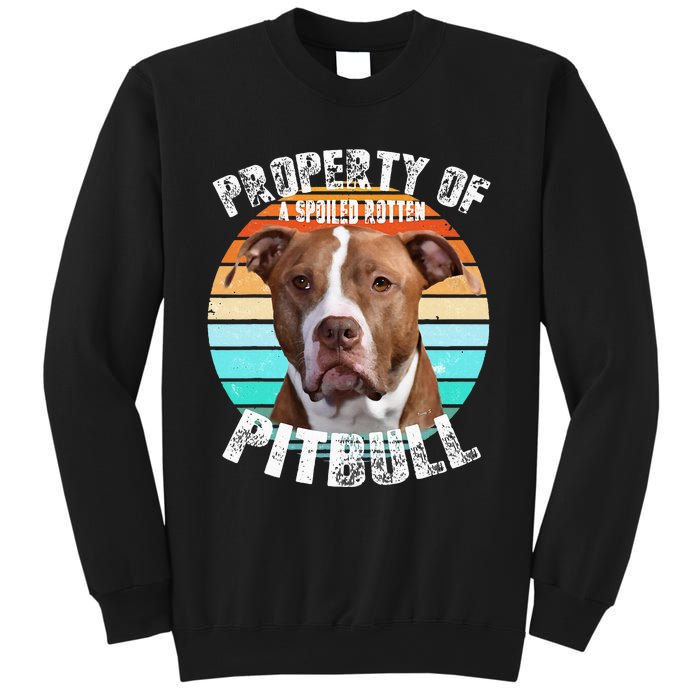 Pit Bull Owner Lover Retro Pitbull Sweatshirt