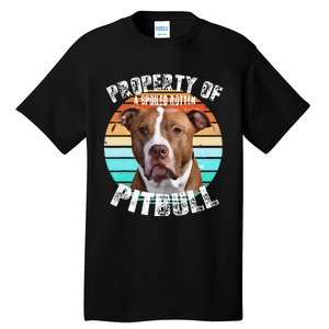 Pit Bull Owner Lover Retro Pitbull Tall T-Shirt