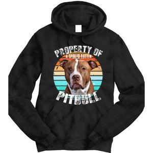 Pit Bull Owner Lover Retro Pitbull Tie Dye Hoodie