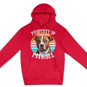 Pit Bull Owner Lover Retro Pitbull Premium Pullover Hoodie