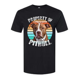 Pit Bull Owner Lover Retro Pitbull Softstyle CVC T-Shirt