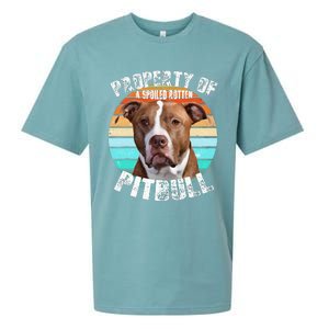 Pit Bull Owner Lover Retro Pitbull Sueded Cloud Jersey T-Shirt