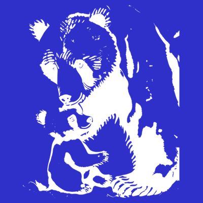 Papa Bear Or Mama Bear With Bear Animal Gift T-Shirt