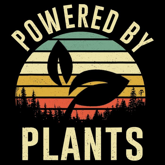 Powered By Plants Vintage Vegetarian By Vegan Diet Womens Tank Top