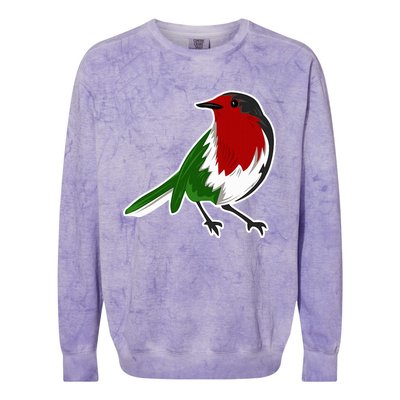 Palestinian Bird Palestinian Flag Palestine Colorblast Crewneck Sweatshirt